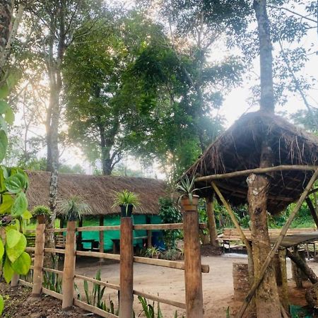 Kailasa Stays Chegāt Esterno foto